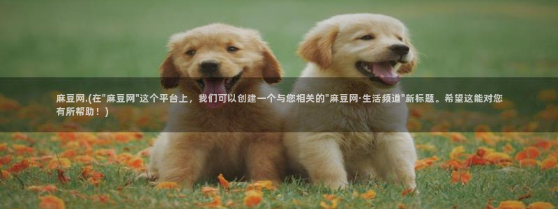 麻豆专区二：麻豆网.(在\