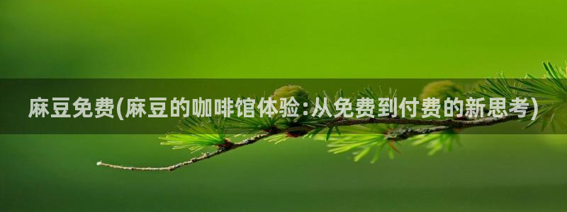 麻豆精品免费：麻豆免费(麻豆的咖啡馆体验:从免费到付费的新思考)