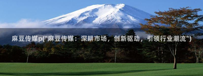 在线麻豆：麻豆传媒p(\