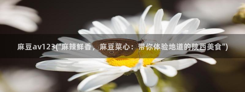 麻豆麻豆：麻豆av123(\