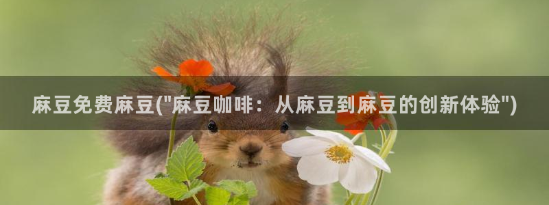 麻豆麻豆：麻豆免费麻豆(\