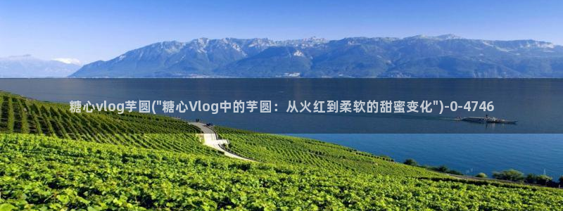 糖心vlog污ios：糖心vlog芋圆(\