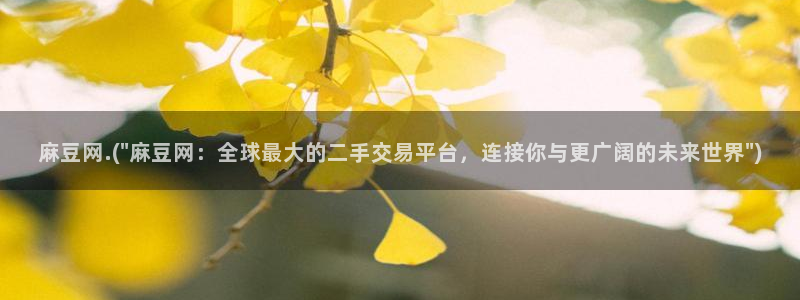 国产麻豆专区：麻豆网.(\