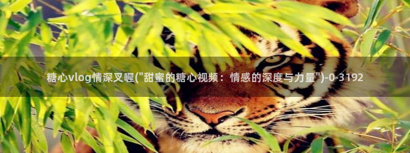 糖心vlog视频：糖心vlog情深叉喔(\
