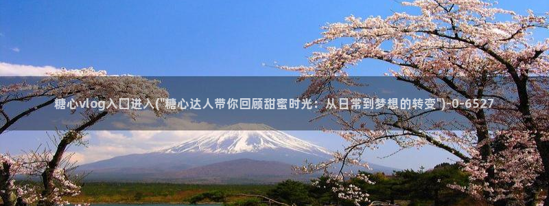 心糖vlog在线免费观看：糖心vlog入囗进入(\