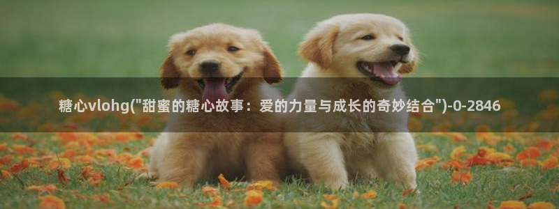 糖心vlog无限次数版：糖心vlohg(\