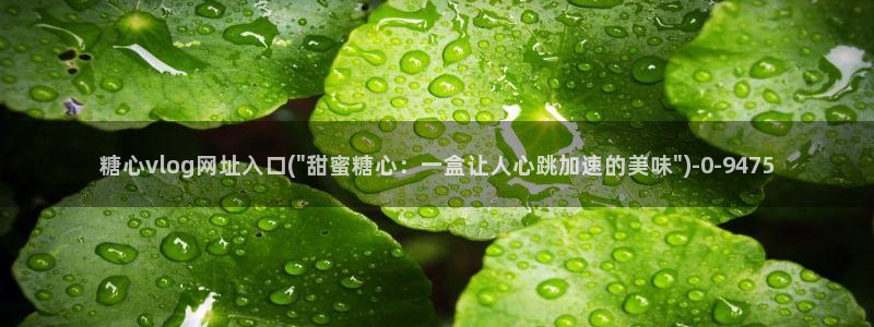 糖心vlog精品在线：糖心vlog网址入口(\