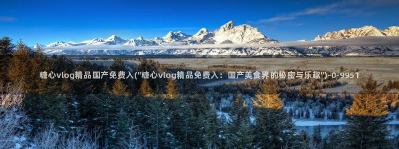 糖心vlog 免费观看：糖心vlog精品国产免费入(\