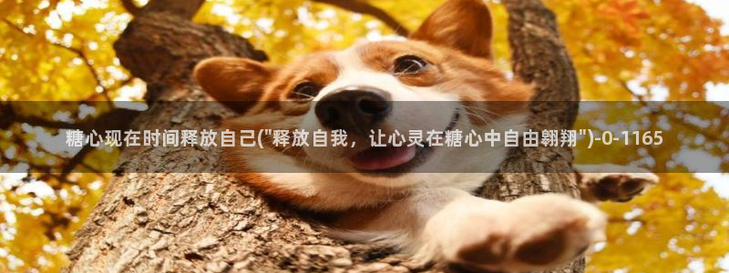 糖心vlog免费版在线观看：糖心现在时间释放自己(\