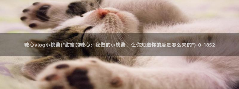 糖心vlog柚子：糖心vlog小桃酱(\