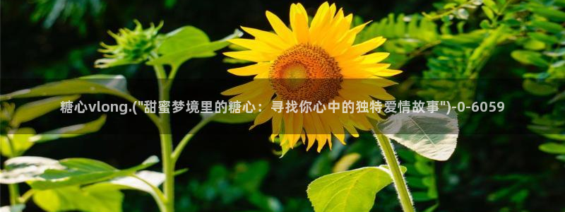 柚子猫糖心vlog胡桃：糖心vlong.(\