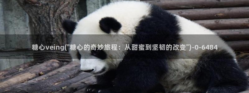 糖心vlog无限次数版：糖心veing(\