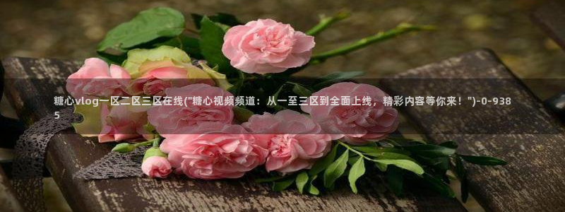 糖心vlog.com：糖心vlog一区二区三区在线(\